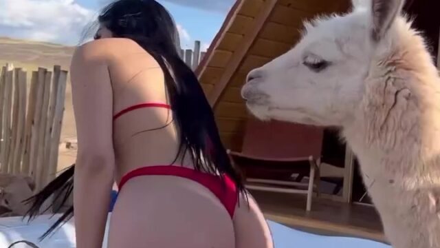 Jailyne Ojeda Onlyfans  – Shower Bathtub